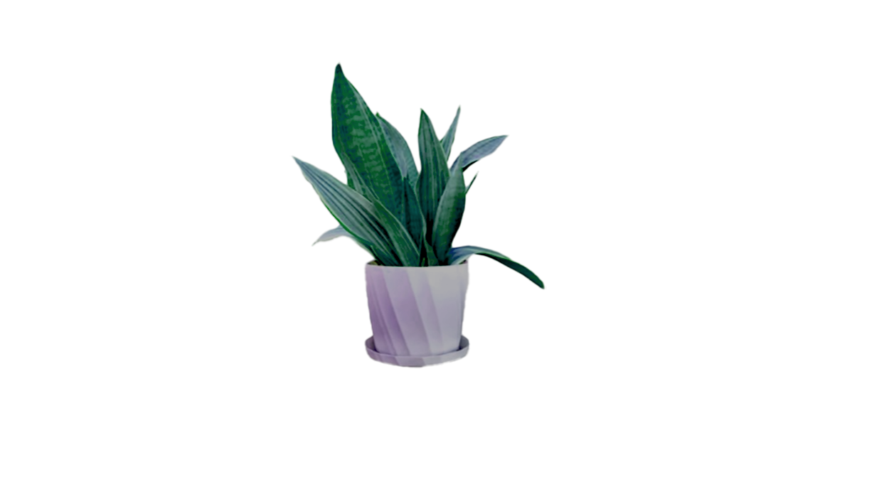 xxxxxx45